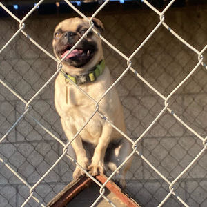 Meet your Posher, Mayra